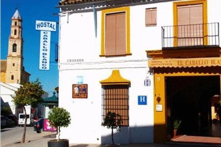 Hostal El Caballo Blanco オスナ エクステリア 写真